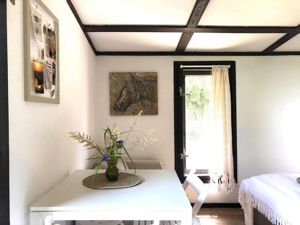 Apartamenty Lajkonik เดาโบรฟนอ ภายนอก รูปภาพ