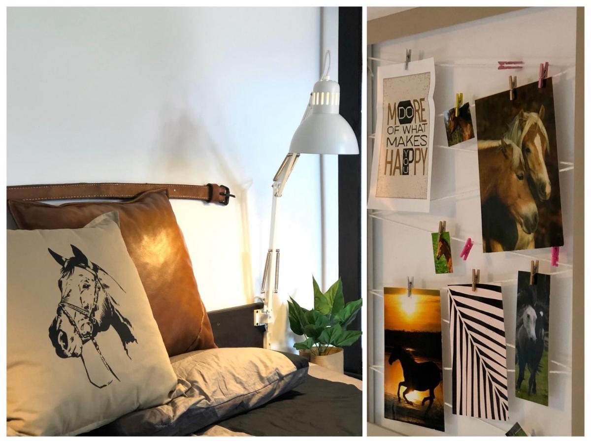 Apartamenty Lajkonik เดาโบรฟนอ ภายนอก รูปภาพ